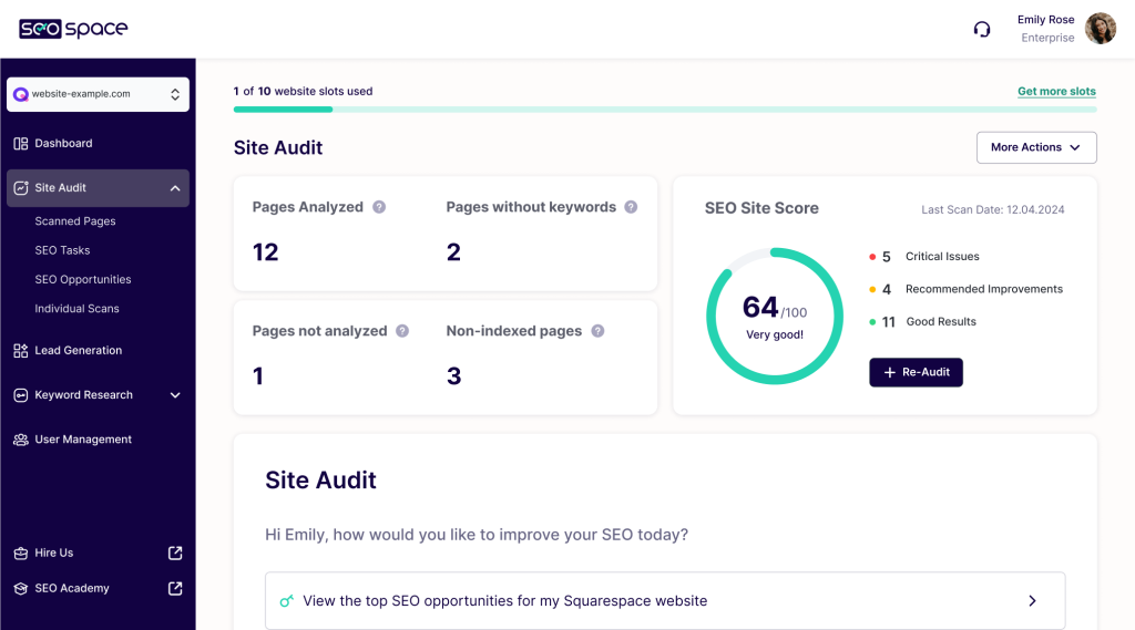 site audit page in seospace